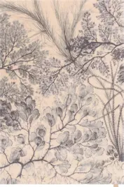 dywan-welniany-do-salonu-agnella-kelp-mietowy-calisia-133x190-cm