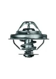 mahle-tx-38-80d-termostat-plyn-chlodzacy