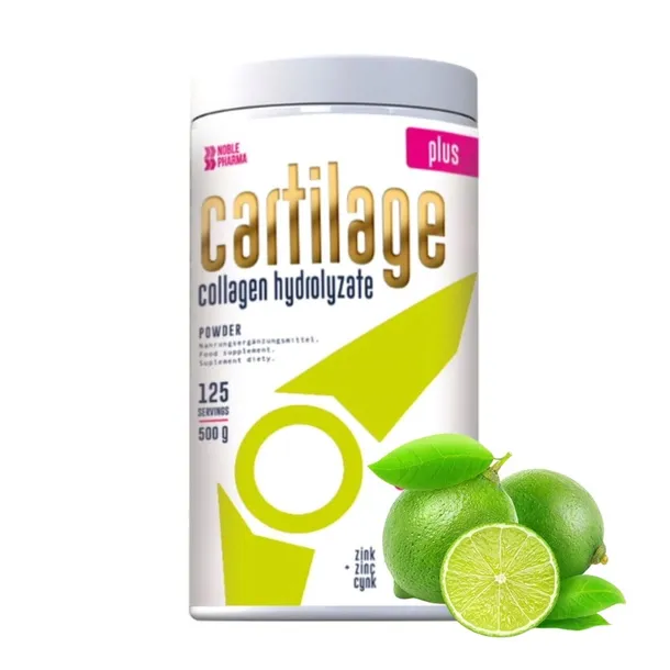 Noble Pharma Cartilage Plus 500g stawy ścięgna włosy skóra paznokcie kolana