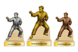 komplet-statuetek-karate-20cm-nadruk-uv-sklejka-tabliczka-karate