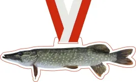 medal-wedkarski-szczupak-z-opisem-i-wstazka