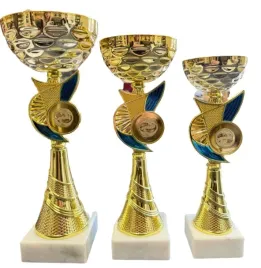 komplet-3-eleganckich-pucharow-wedkarskich-31-28-25cm-karp-ryba-zawody-opis