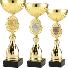komplet-pucharow-wedkarskich-trofea-33-27-cm-ryby-zawody-splawikowe-grawer