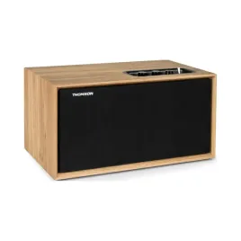 glosnik-mobilny-thomson-cosy-ws502-dab