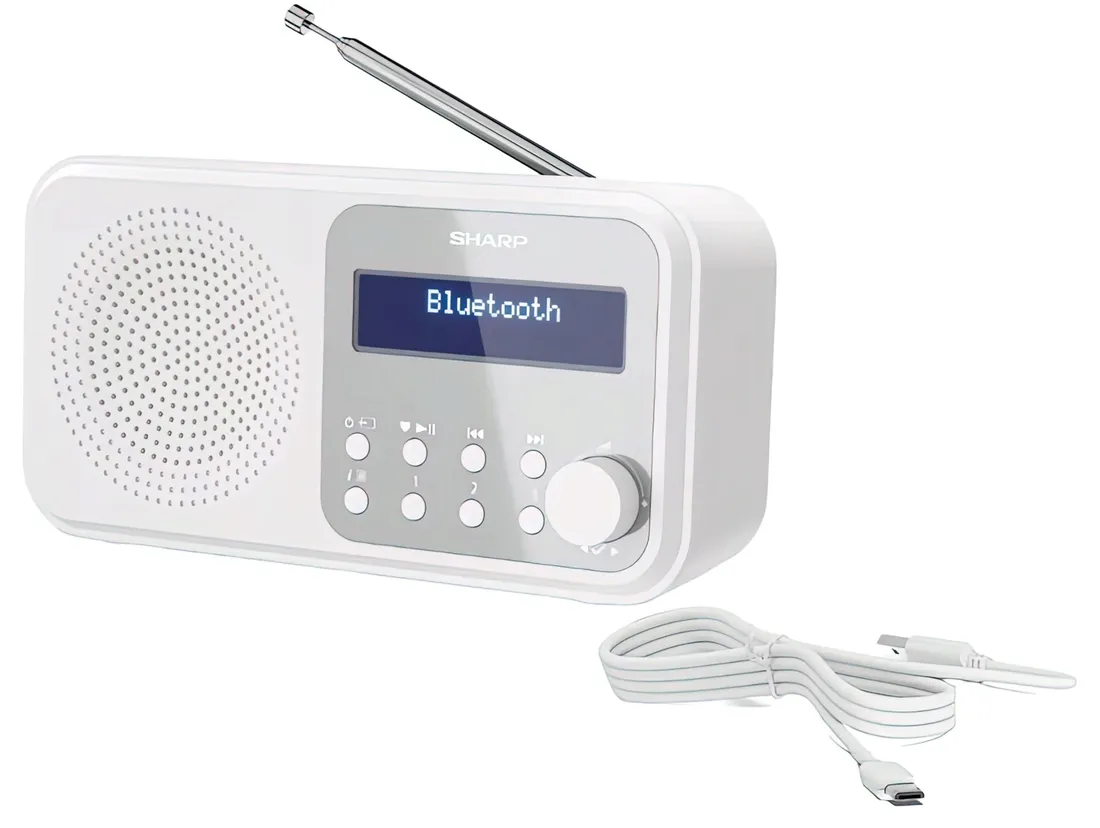 radio-sharp-dr-p420-bialy