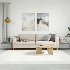 vidaxl-stoliki-kawowe-2-szt-szarosc-betonu-50x46x35-cm