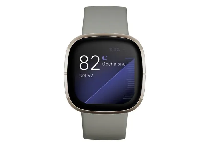 smartwatch-fitbit-sense-sage-szary-zlacza-brak