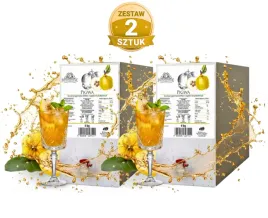 2-x-koncentrat-pigwa-6-kg-profimator-zestaw-2-sztuk-profimator-drink-baza