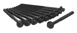 zestaw-srub-glowicy-ajusa-81031700