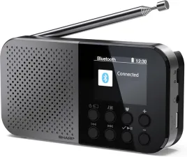 radio-sharp-dr-p520-cyfrowe-przenosne-szary