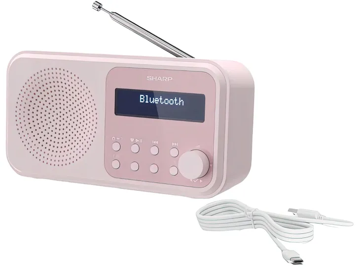 radio-sharp-dr-p420-rozowy