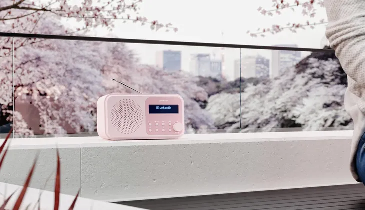 radio-sharp-dr-p420-rozowy