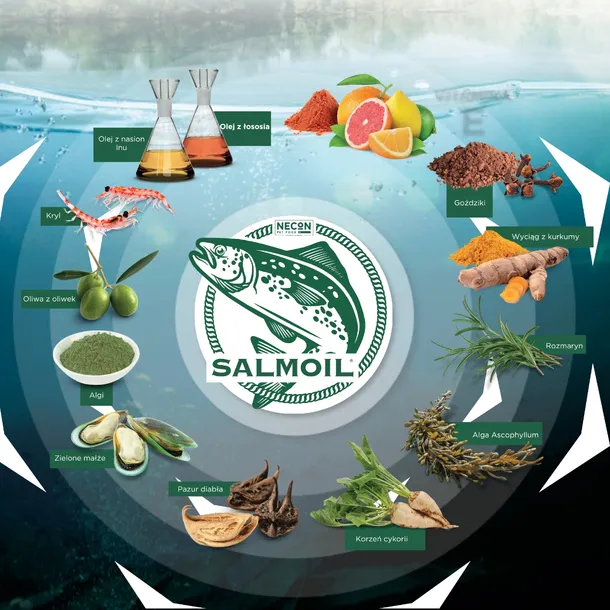 salmoil-ricetta-2-intestinal-250-ml-marka-inna