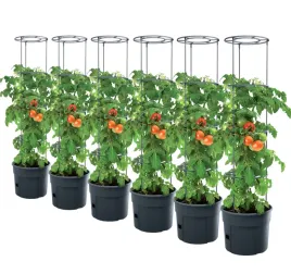 6x-donica-stelaz-115cm-uprawa-pomidorow-ipom300
