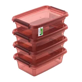 kolorowe-uniwersalne-pojemniki-4x-3l-odporne-na-temperature