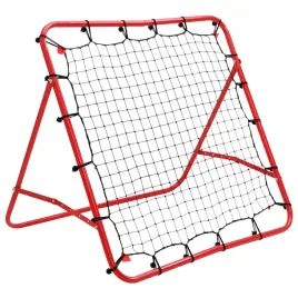 vidaxl-regulowana-bramka-pilkarska-100-x-100-cm