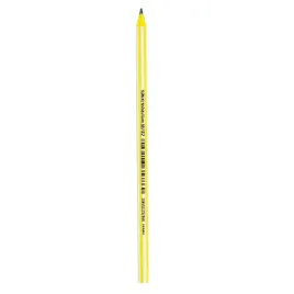 bic-olowek-evolution-paski-hb-1-szt