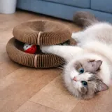 silky-drapak-buzzy-paws-scratcher-marka-silky