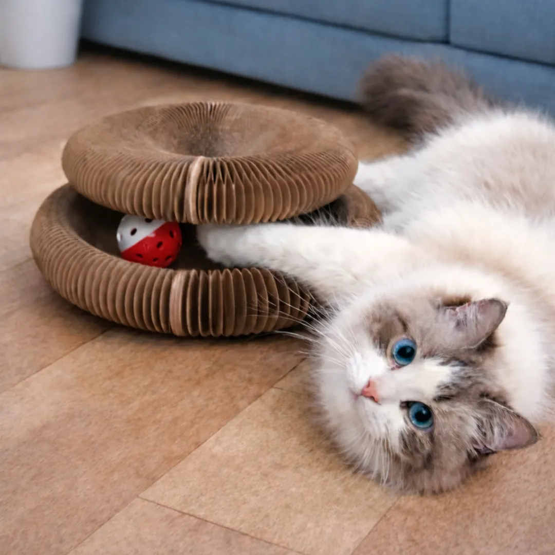 silky-drapak-buzzy-paws-scratcher