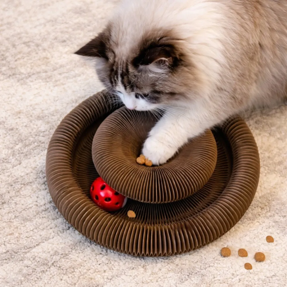 silky-drapak-buzzy-paws-scratcher