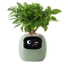 doniczka-inteligentna-plantsio-ivy-wi-fi-zielony