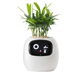 doniczka-inteligentna-plantsio-ivy-wi-fi-bialy