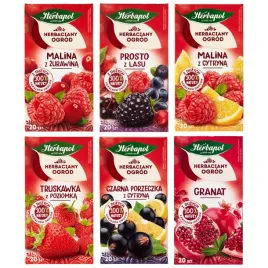 herbapol-herbata-owocowa-zestaw-6-herbat-rozne-smaki-120-saszetek