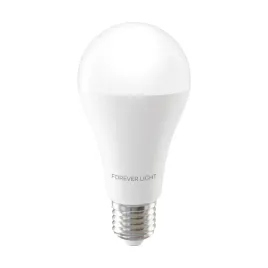 forever-light-zarowka-led-e27-a65-17w-2100lm-3000k-klasa-e
