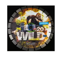tarcza-diamentowa-wild-20-nozar-350x254mm-segment-20mm