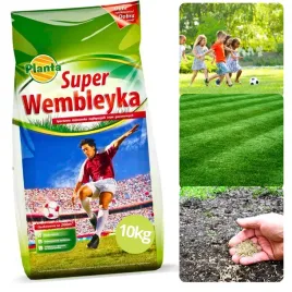 trawa-nasiona-trawy-wembleyka-sportowa-odporna-na-deptanie-dekoracyjna-10kg