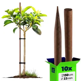 10x-paliki-do-pomidorow-drewniane-150-cm-impregnowany-podpora-drzewek-23-mm