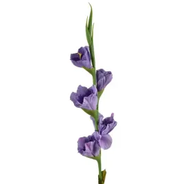 viridis-kwiat-sztuczny-mieczyk-85cm-gumowany