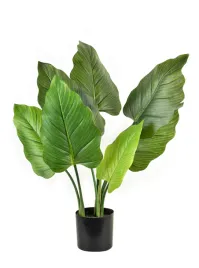 viridis-kwiat-sztuczny-alocasia-h65cm-wdoniczce