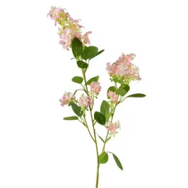 viridis-galazka-kwitnaca-80cm