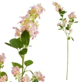 viridis-galazka-kwitnaca-80cm-stan-nowy