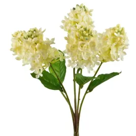 viridis-bukiet-bzu-40cm-gumowany