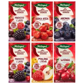 herbapol-herbata-owocowa-zestaw-6-herbat-5-owocowych-smakow-120-saszetek
