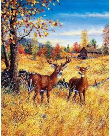 malowanie-po-numerach-jelenie-na-polu-50x40-cm-z-rama-kreatywne