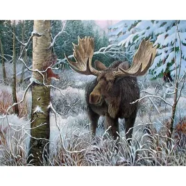 malowanie-po-numerach-los-w-lesie-50x40-cm-rama