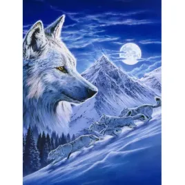 malowanie-po-numerach-wilk-gory-zima-40x50-rama