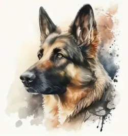 malowanie-po-numerach-pies-owczarek-niemiecki-portret-40x50-cm-na-ramie