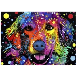 malowanie-po-numerach-50x40-cm-kreatywne-z-rama-pies-kolorowe-wzory