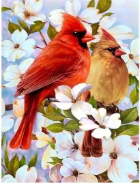 malowanie-po-numerach-ptaki-wsrod-kwiatow-50x40-cm-z-rama-kreatywne
