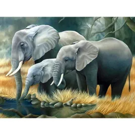 malowanie-po-numerach-rodzina-sloni-nad-rzeka-50x40-cm-na-ramie-kreatywne