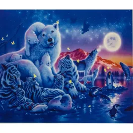 malowanie-po-numerach-zwierzeta-polarne-noca-40x50