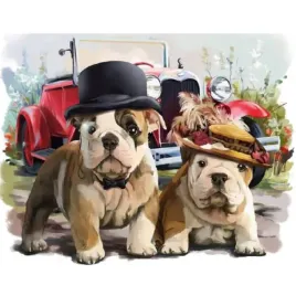 malowanie-po-numerach-buldogi-psy-w-kapeluszach-50x40-cm-z-rama-kreatywne