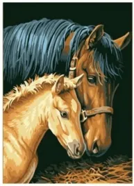malowanie-po-numerach-konie-klacz-50x40-cm-z-rama-kreatywne