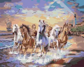 malowanie-po-numerach-konie-biegnace-brzegiem-morza-40x50-cm-na-ramie