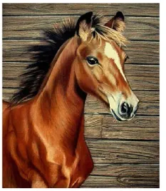malowanie-po-numerach-mlody-kon-klacz-40x50-cm-na-ramie-kreatywne