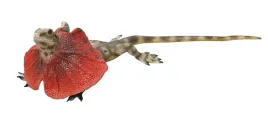 zabawka-figurka-agama-kolnierzysta-55-cm-dlugosci-szczegolowe-detale